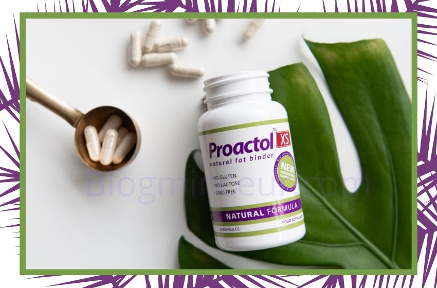 Proactol-XS-flacon-pilules